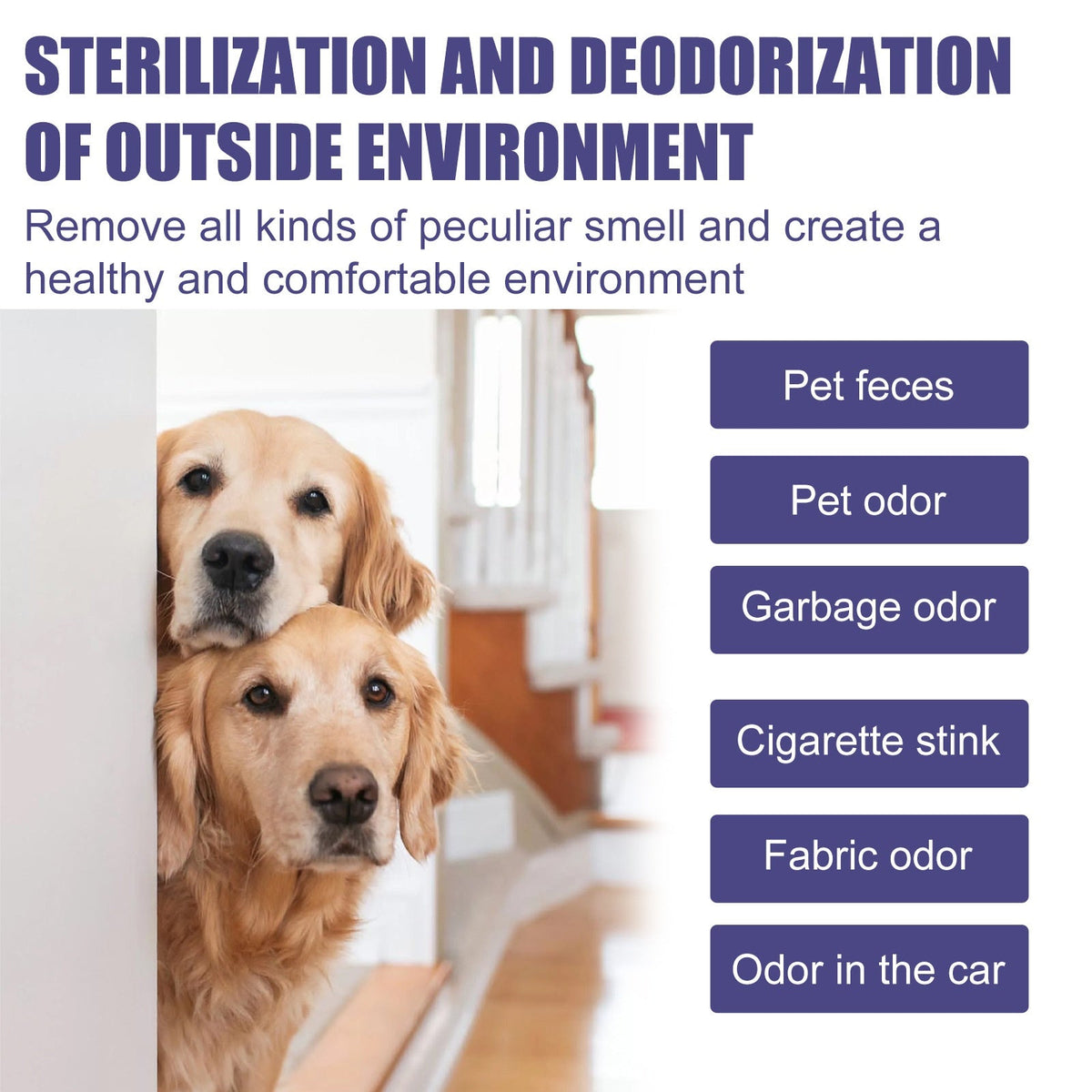 Pet Deodorant Spray for Cats and Dogs - Eliminates Odors, Urine Smell, Body Odor, and Feces Odor, Air Freshener Mist