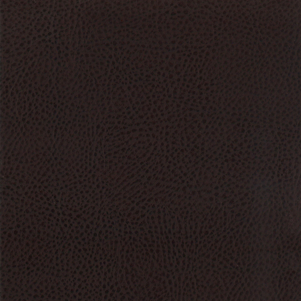 Dewey Upholstered Counter Chair Walnut (Set of 2)