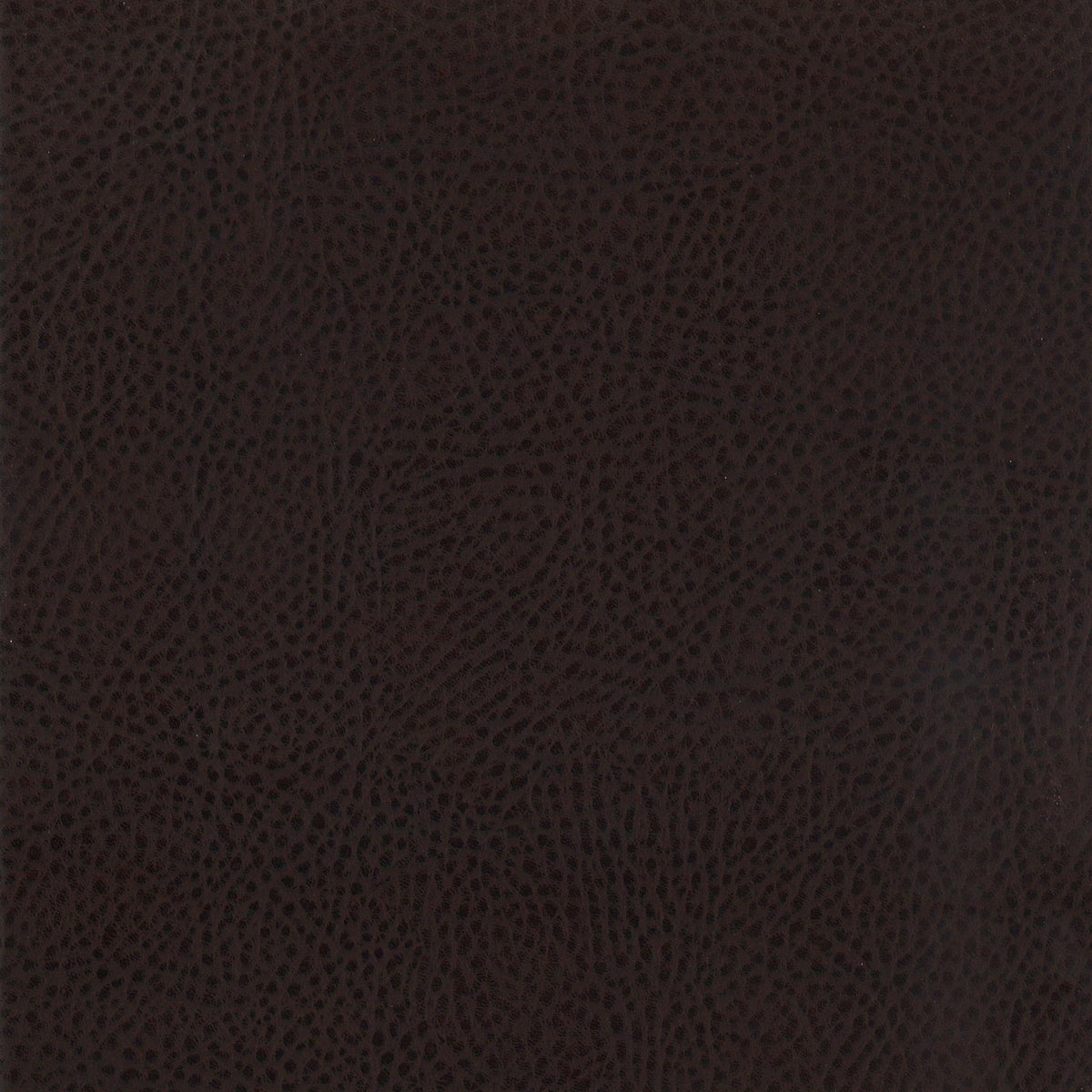 Dewey Upholstered Counter Chair Walnut (Set of 2)