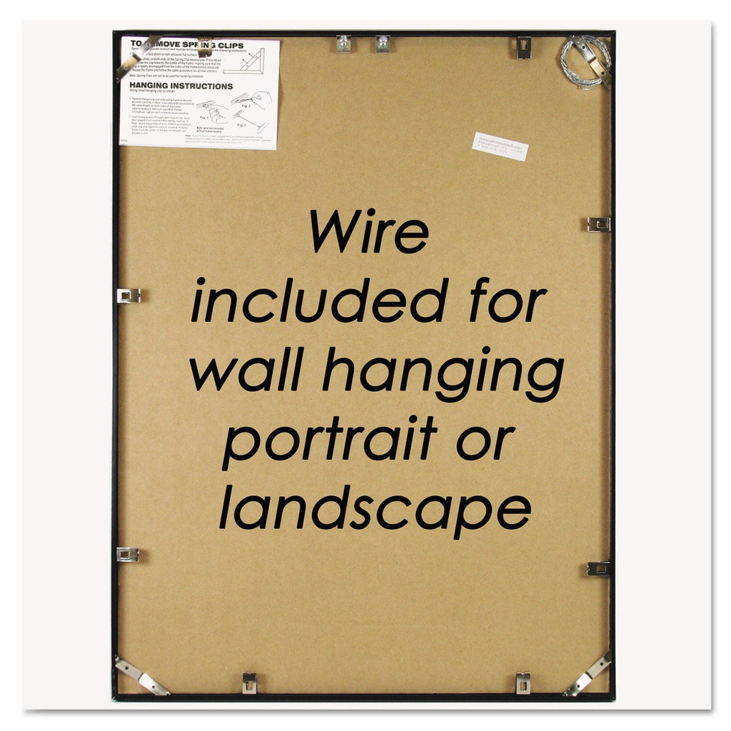 NuDell Metal Poster Frame, Plastic Face, 18 x 24, Black
