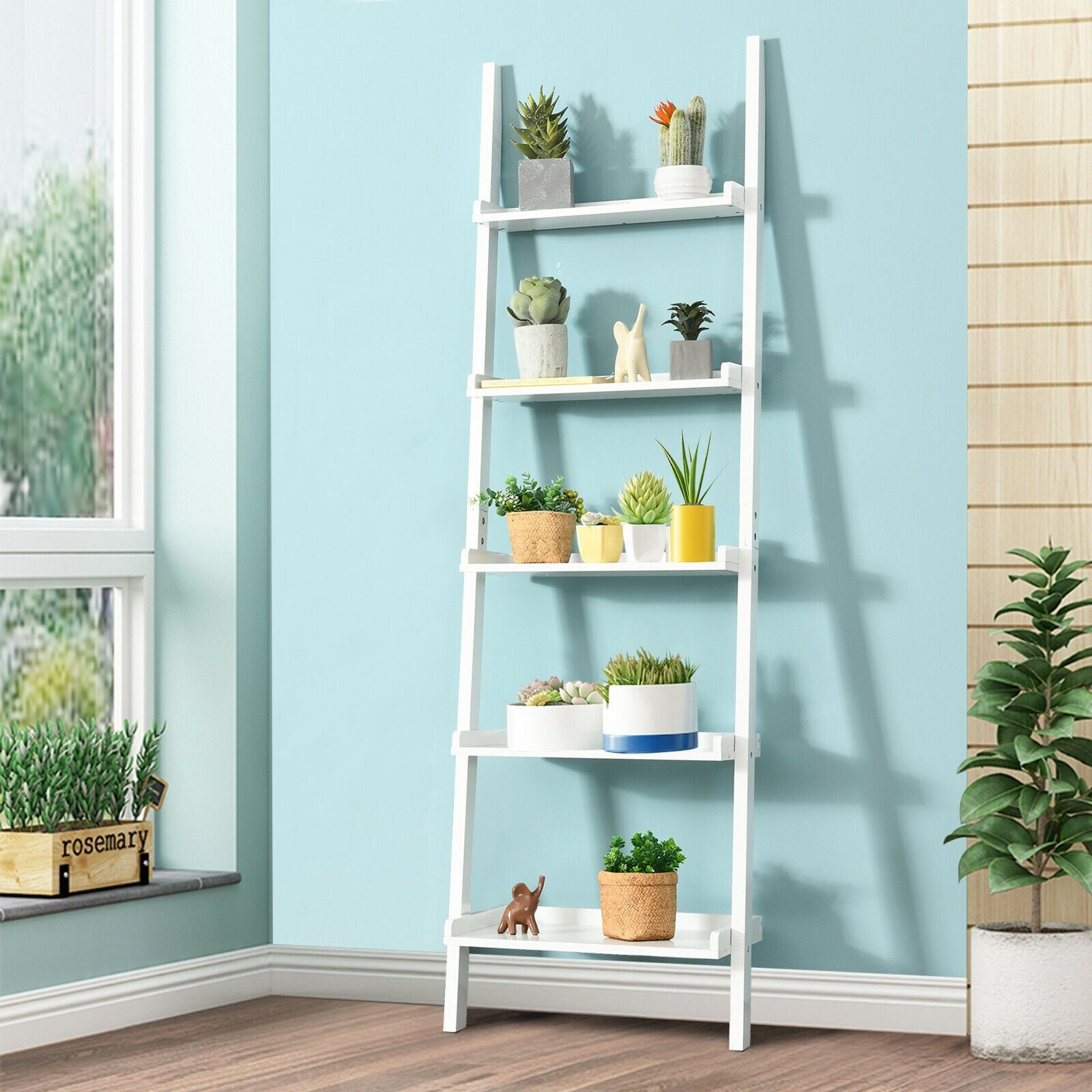5-Tier Wall-leaning Ladder Shelf Display Rack for Plants and Books
