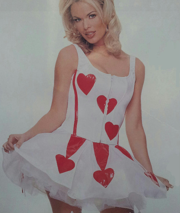 Womens Heart Valentine's Day Corset and Skirt Adult Costume Size S/M