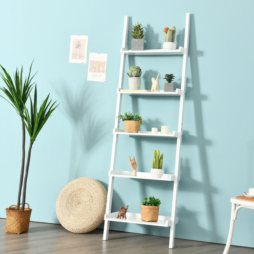 5-Tier Wall-leaning Ladder Shelf Display Rack for Plants and Books