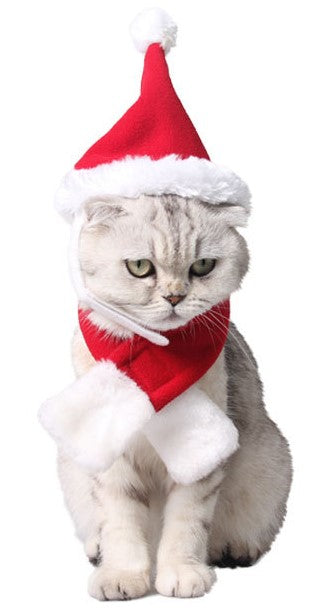 Newest Christmas Hairband For Pet Dog Cat Funny Elk Reindeer Antlers Red Puppy Headwear