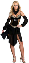 Dreamgirl Women's Harem Arabian Nights Girl Costume Adult Costume XS 0-2