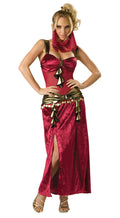 Incharacter Women's Sexy Deluxe Desert Harem Belly Dancer Adult Costume Small