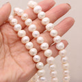 Natural Freshwater Pearl Punch Bead String
