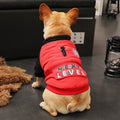 Small puppy pet autumn and winter clothes