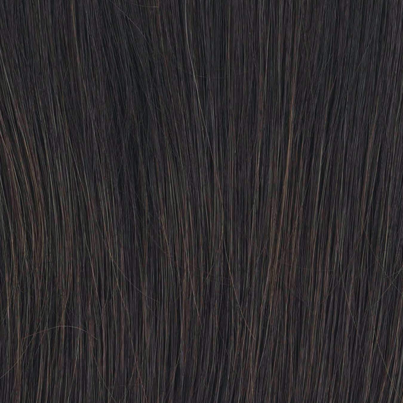 Raquel Welch Big Time Wig Hairpiece