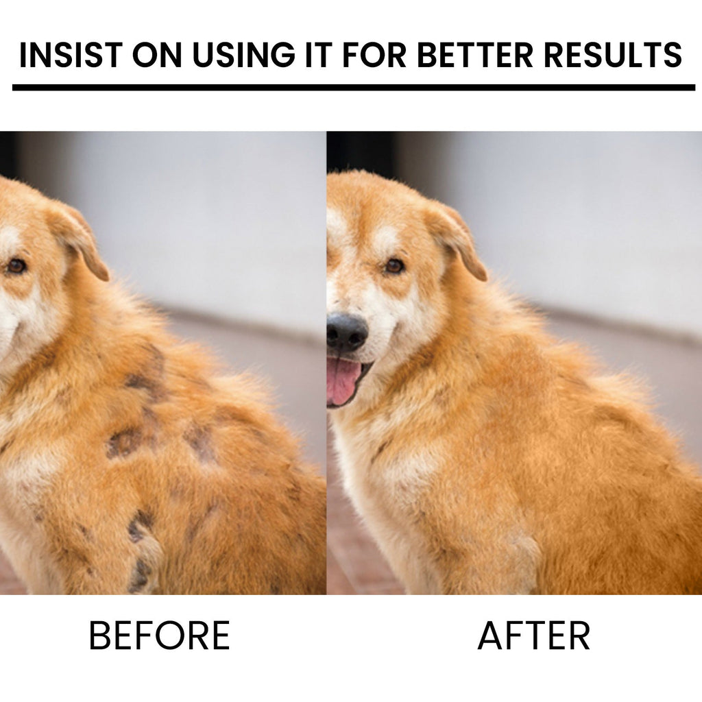 Pet Hair Growth Spray for Cats and Dogs - Hair Care Treatment for Damaged Follicles and Hair Loss