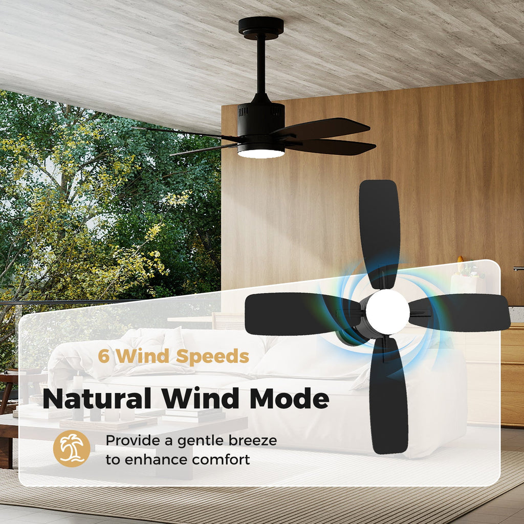 42inch Ceiling Fan with Light and Remote 3CCT LED with Memory 4H Timer 6 Speeds-Black