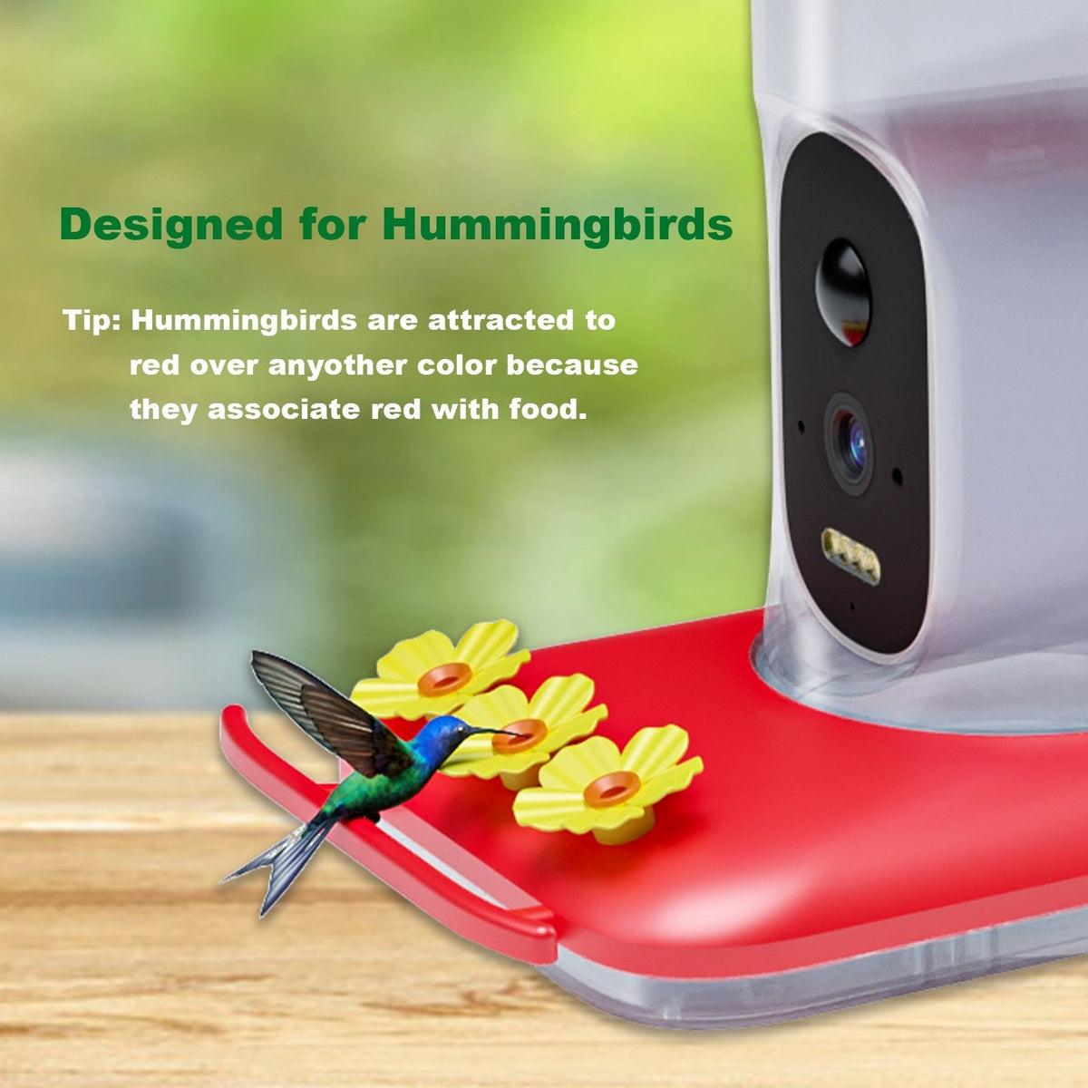 Intelligent Visual Hummingbird Water Feeder 5MP Pixel Outdoor HD