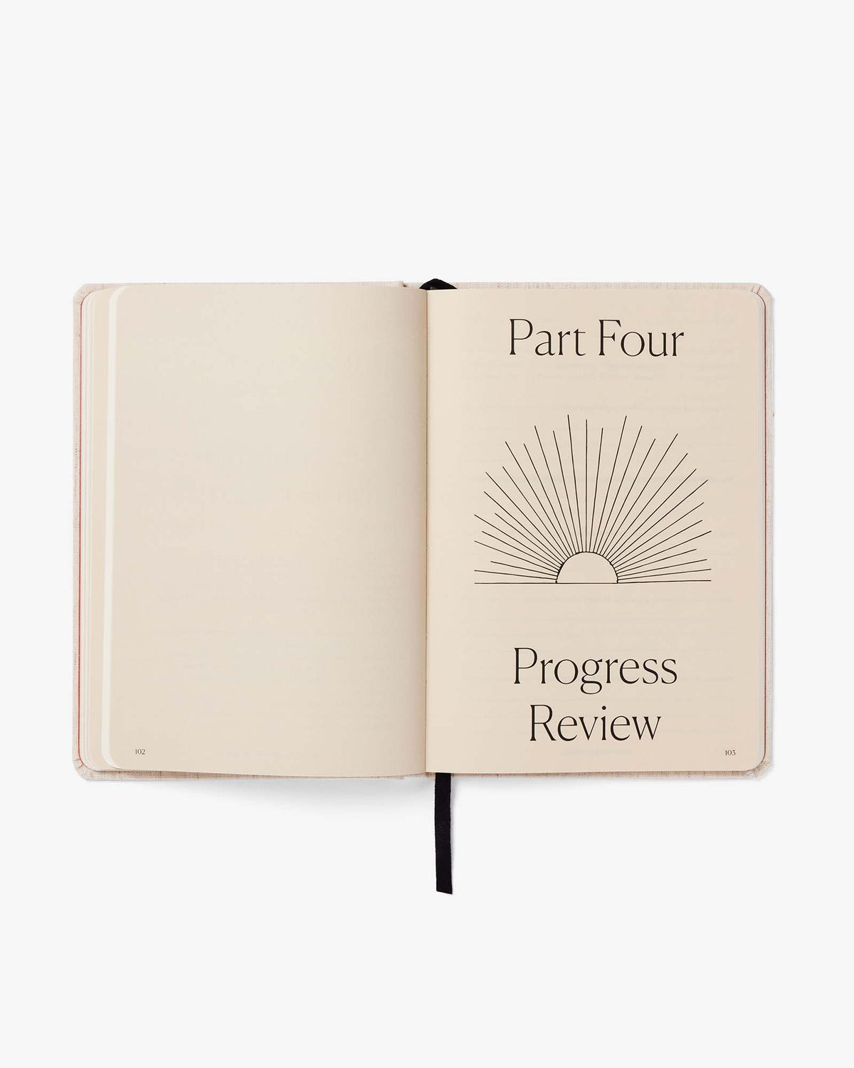 Best Year Journal - Pink