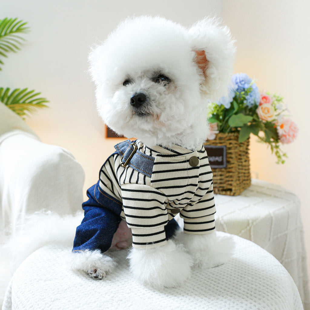 Pet Clothes Dog Four Feet Heart Vintage