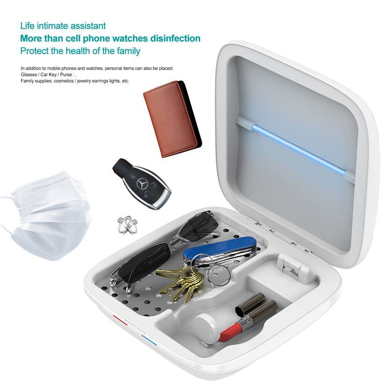 Disinfection box