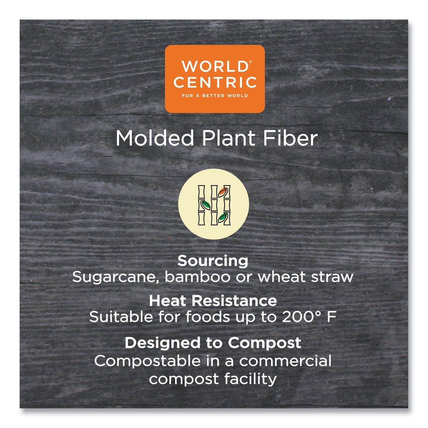 World Centric Fiber Bento Box Containers, 5-Compartment, 11.8 x 9.4 x 2, Natural, Paper, 300/Carton