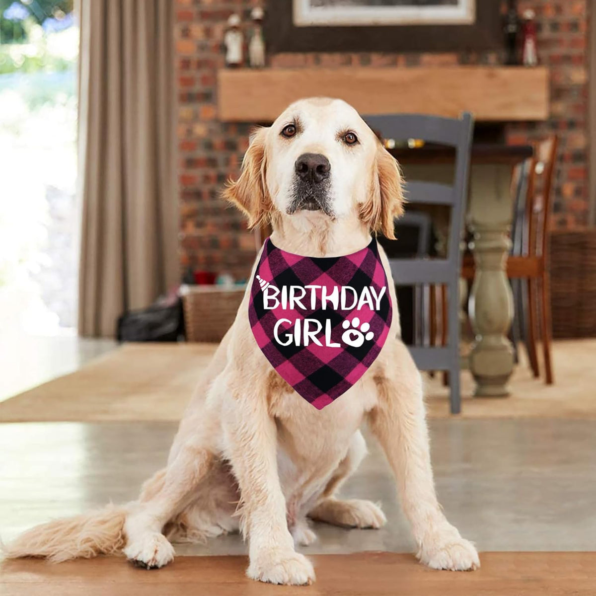 Dog Birthday Bandana – Premium Cotton Birthday Boy Bandana for Dogs
