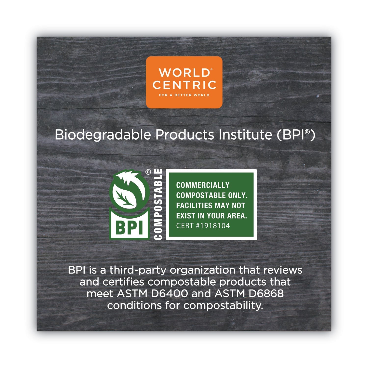 World Centric TPLA Compostable Cutlery, Spoon, 6", White, 750/Carton