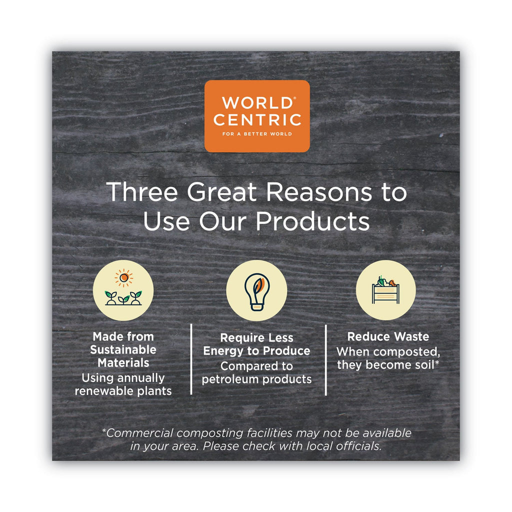 World Centric TPLA Compostable Cutlery, Spoon, 6", White, 750/Carton