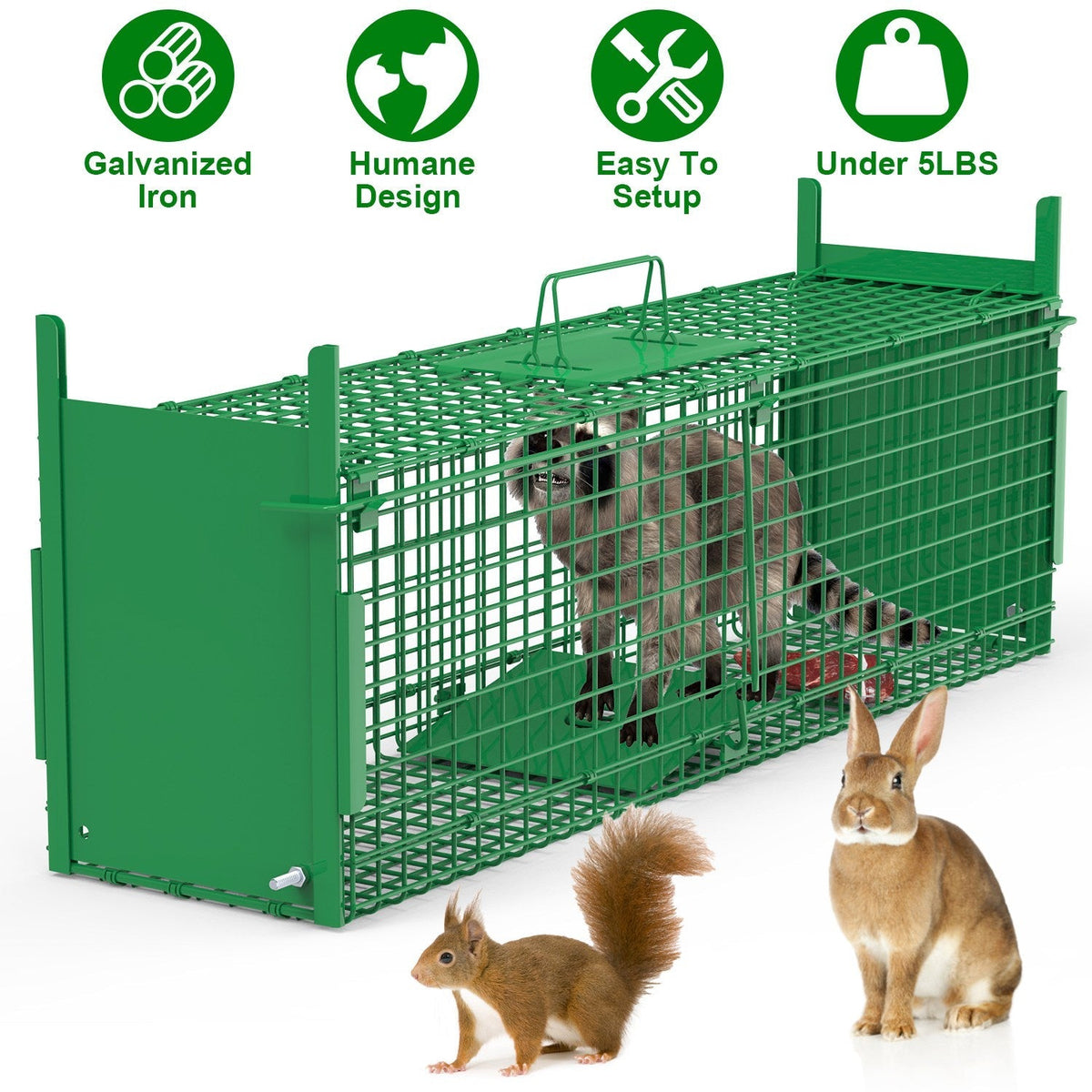 38in 2 Door Live Animal Cage Trap For Animals Under 18LBS Easy To Setup Humane Galvanized Iron Trap Cage For Raccoons Armadillos Groundhogs Muskrats O