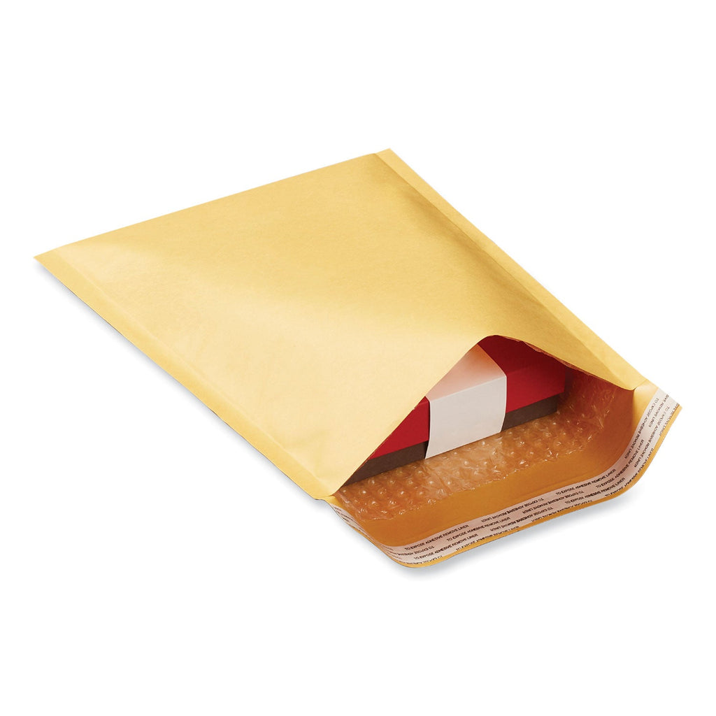 Universal Peel Seal Strip Cushioned Mailer, #0, Extension Flap, Self-Adhesive Closure, 6 x 10, 250/Carton