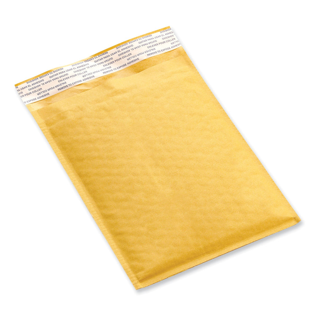 Universal Peel Seal Strip Cushioned Mailer, #5, Extension Flap, Self-Adhesive Closure, 10.5 x 16, 25/Carton