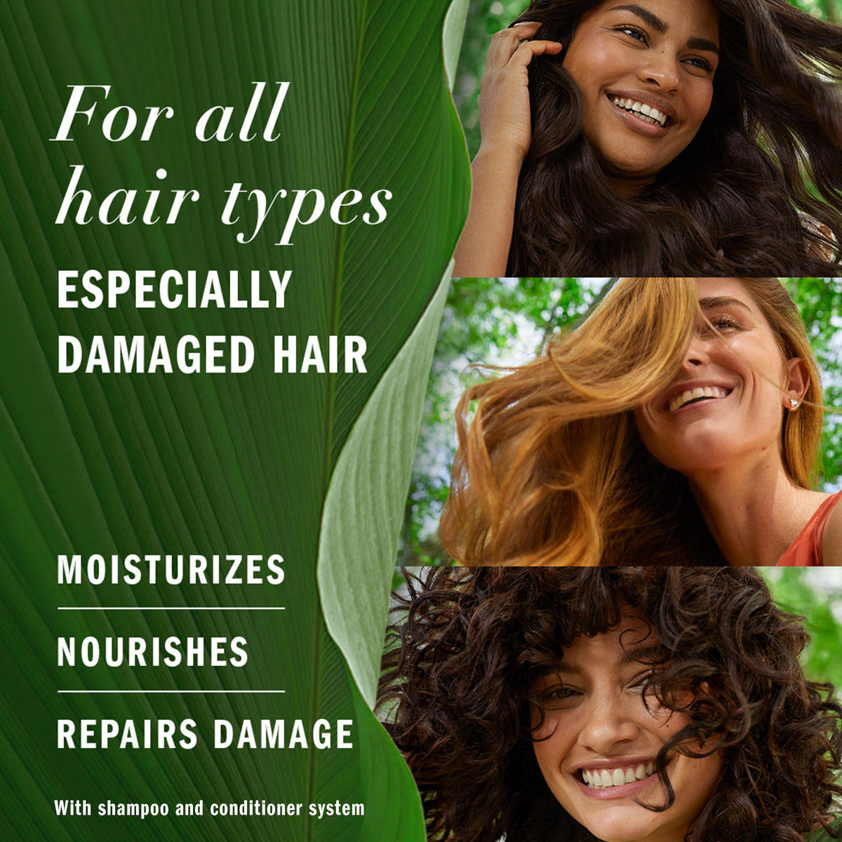 Herbal Essences Repairing Argan Oil Hair Conditioner 8.5oz | Moisturizing Formula