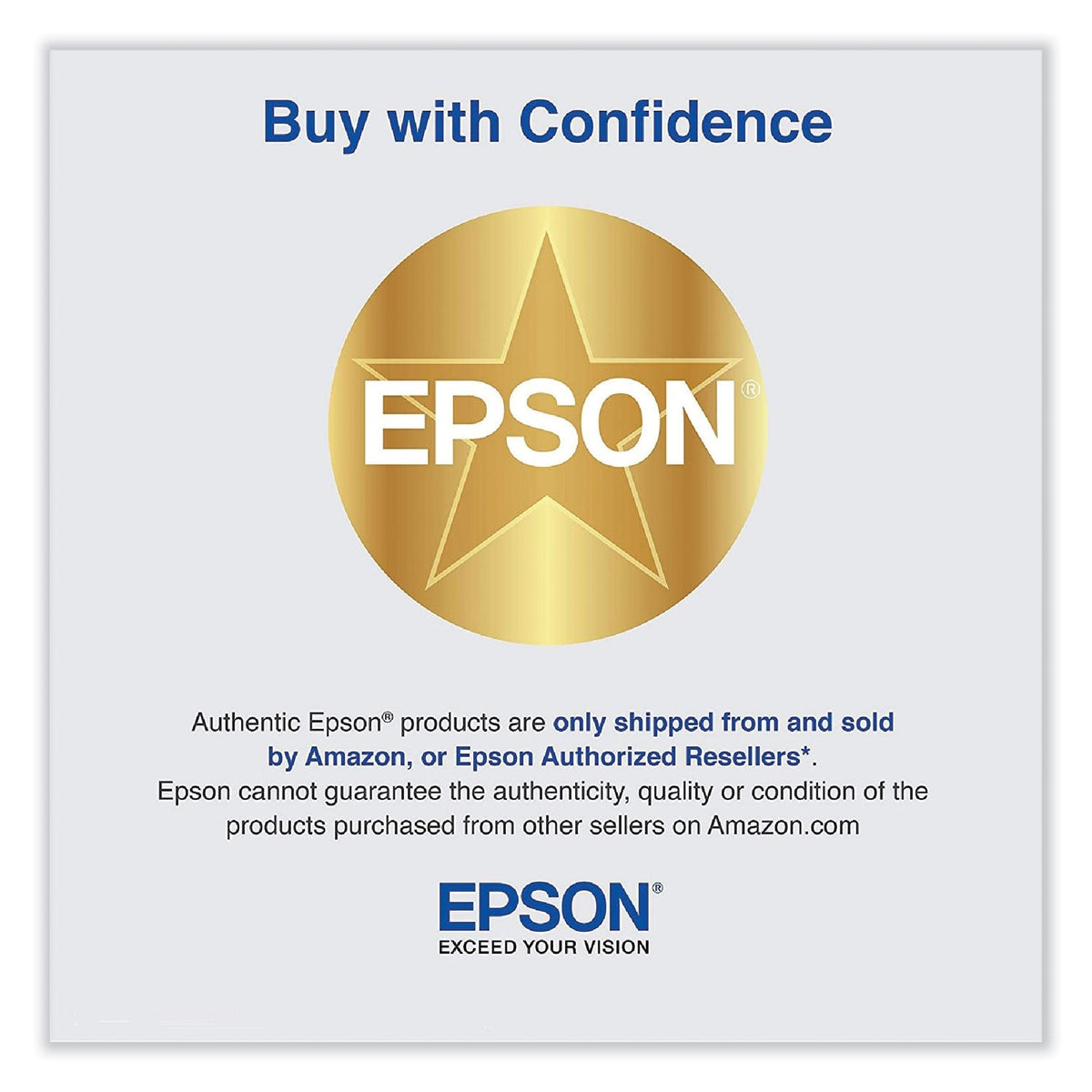 Epson T606100 (60) Ink, Photo Black