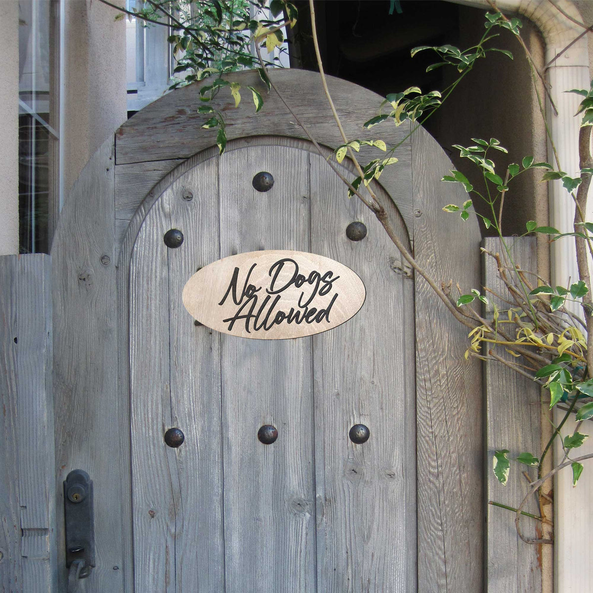 No Dogs Allowed Sign, wood sign, Office sign, Handmade in the USA Sign, Sings for business - 320319
