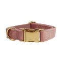 Light Purple Dog Collar Pet Rope