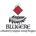 Catie's Bubbles Blugere Shaving Collection