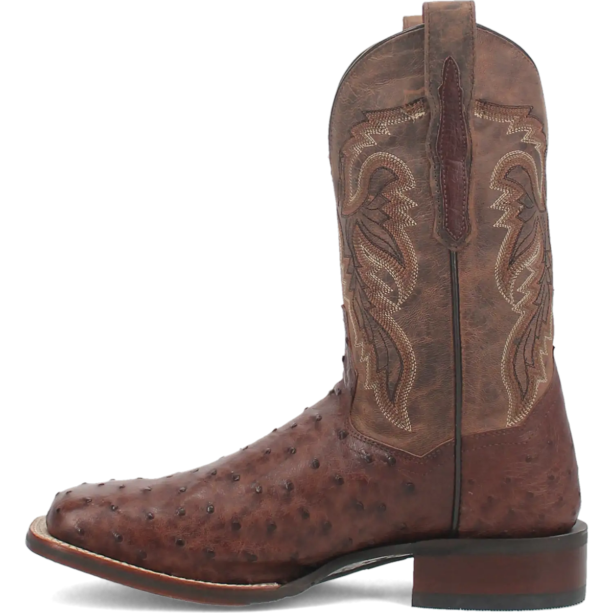 Dan Post Alamosa (Chocolate/Brown) - Men's Ostrich Skin Leather Cowboy Boots