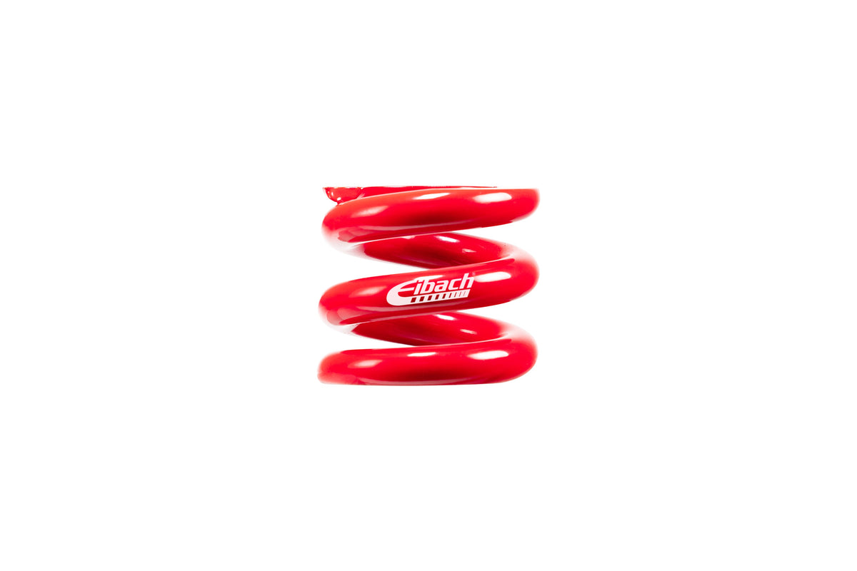 RACING SPRINGS