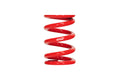 RACE MAIN SPRING