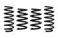 PERFORMANCE LOWERING SPRINGS