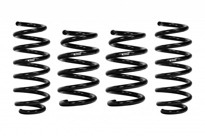 PERFORMANCE LOWERING SPRINGS