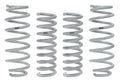 DODGE DRAG LAUNCH SPRING KIT.