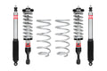 PRO-TRUCK COIL OVER SYSTEM