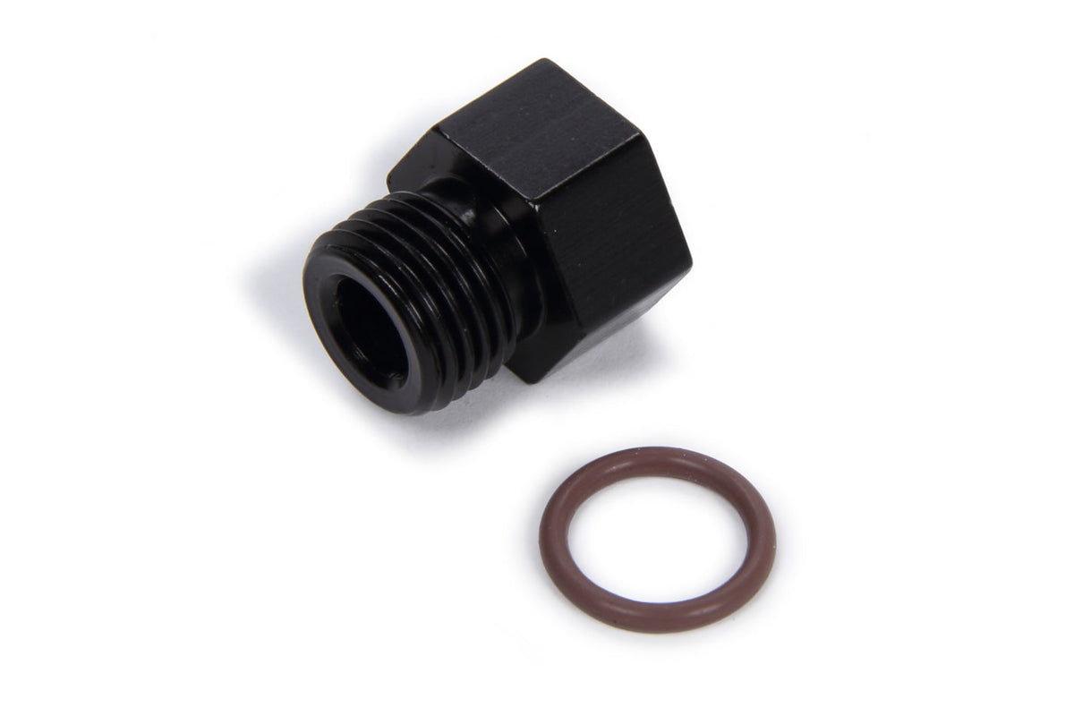 #6 Port Plug w/ 1/8 FPT Port - 481426BL