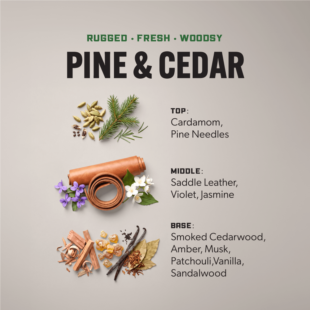 Heavy Duty Premium Laundry Detergent (100 Loads) -  PINE & CEDAR