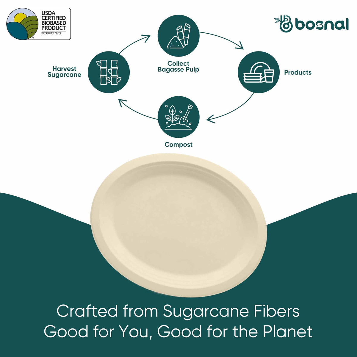 10 Inch Oval Compostable Plates – 500 Pcs, 100% Sugarcane Bagasse, Eco-Friendly Disposable Plates, Microwave Safe, BPA-Free, Sturdy