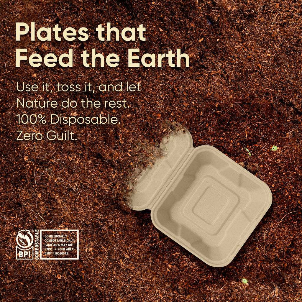 6 Inch Compostable Square Clamshell Containers, 500 Pcs, 100% Sugarcane Bagasse, Microwave Safe, BPA-Free, Eco-Friendly Takeout Boxes