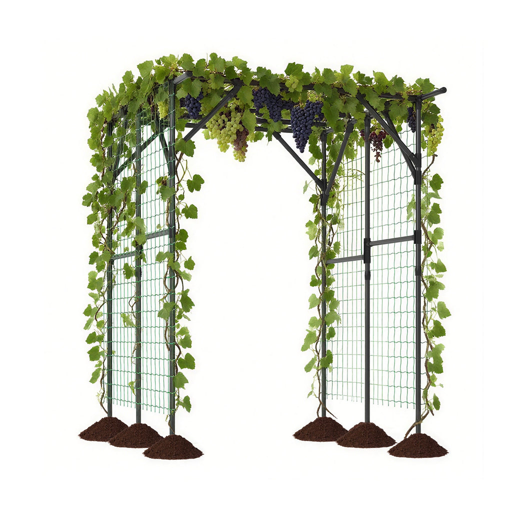 Large Garden Arch Trellis for Climbing Plants Outdoor Grape Vine Support-Black