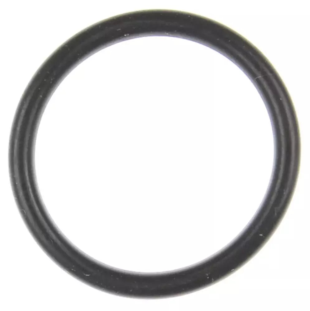 EFI Throttle Body O-Ring 05-10 Hemi 6.1L - G32944