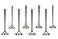 RACE SERIES STAINLESS STEEL