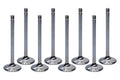 VALVES INTAKE SS 2.020IN SET