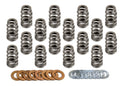 VALVE SPRING SET
