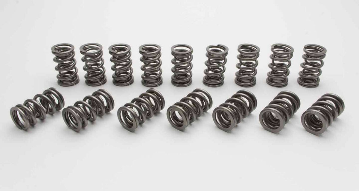 VALVE SPRINGS