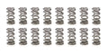 SPRING- VALVE