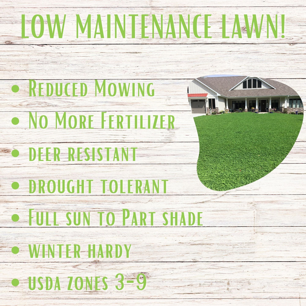 Micro Clover + Mow Less Grass Seed